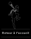 retour_acceuil